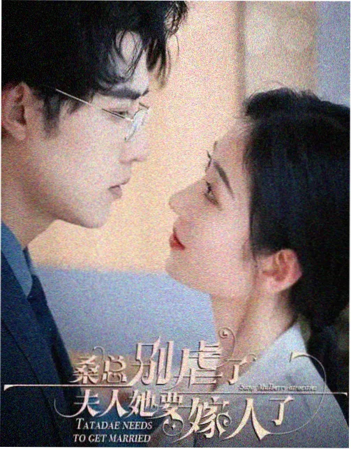 成全视频镜头语言解读画面